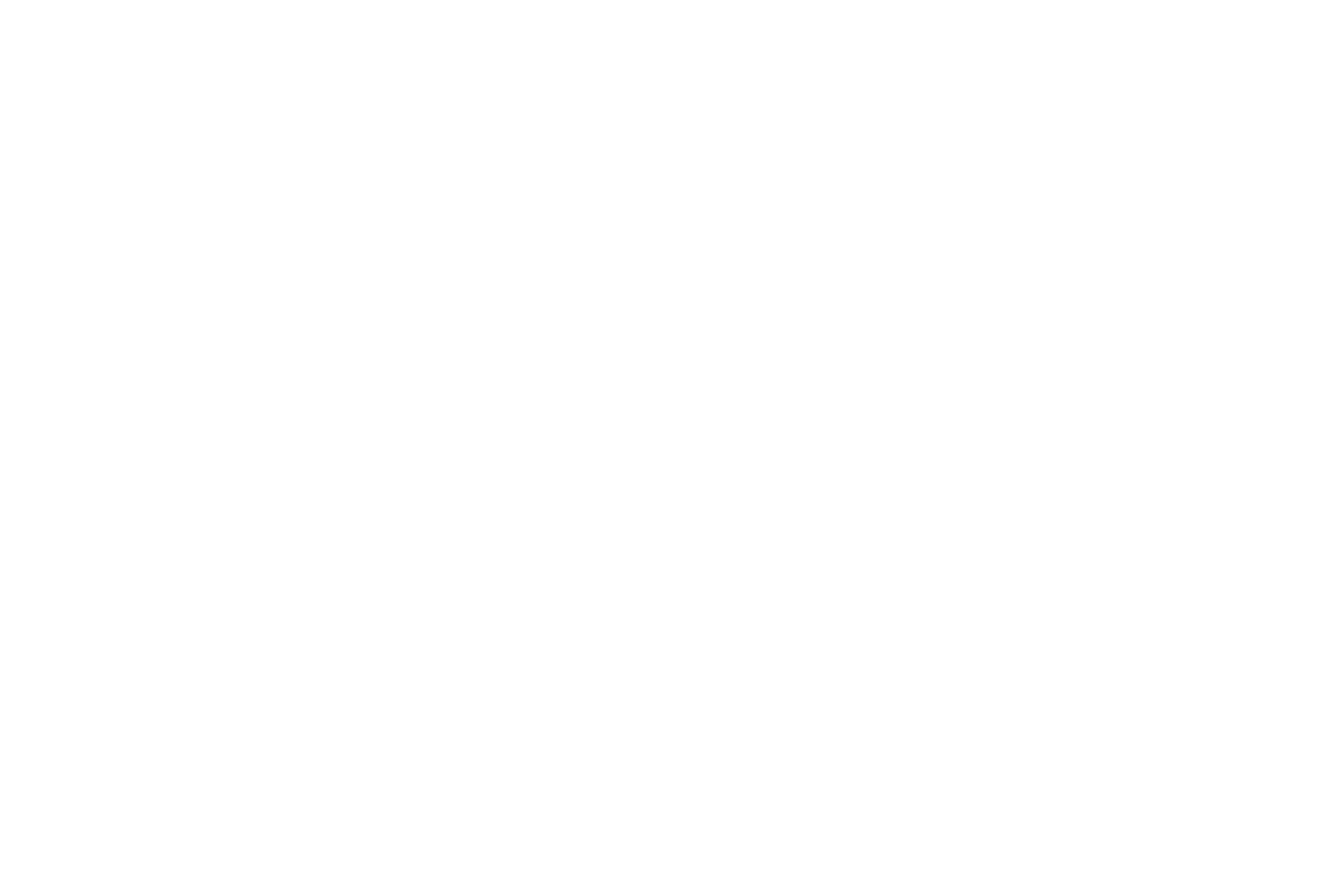 Hugo Boss Logo