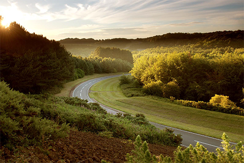 Alpine Race Track