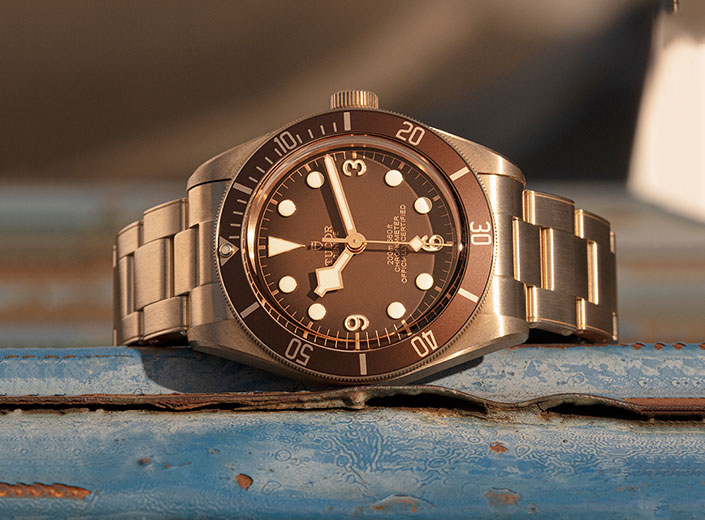 Tudor Bronze