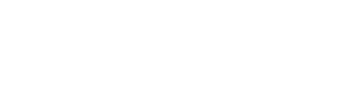 Michael Kors Access Logo